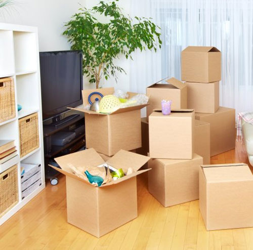 Office Shifting Services Noida Sector 164